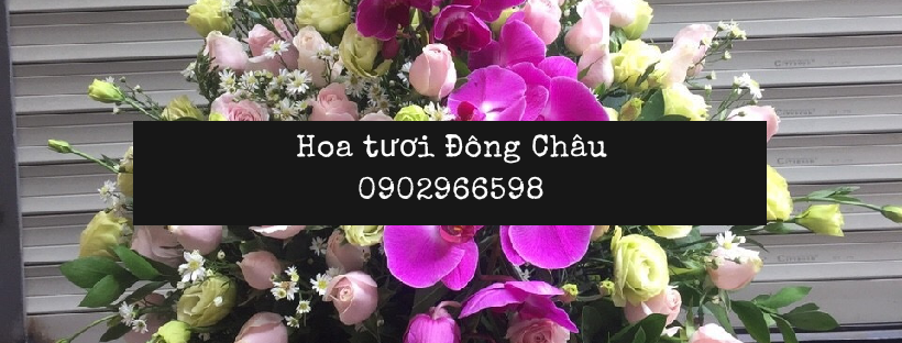 dịch vụ hoa tươi giao tận nơi, thanh toán nhanh chóng và tiện lợi